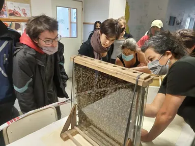 Exposición de abejas en la Expoagro 2023