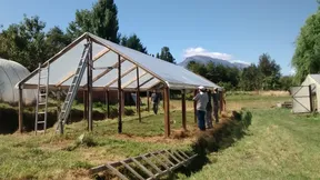 Construcción de los primeros invernaderos de la escuela